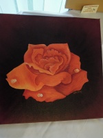 Saharská ruža 2012 (predané)