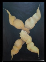 Zrodenie a zánik 2013 (120€)